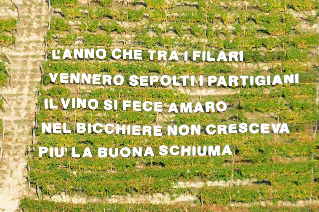 L'anno che tra i filari